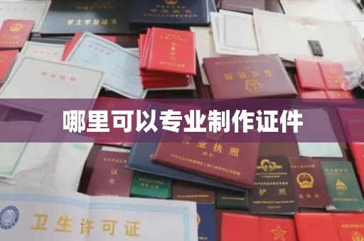 杨梅哪里可以专业制作证件