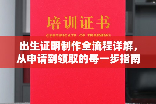 杨梅出生证明制作全流程详解，从申请到领取的每一步指南