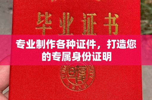杨梅专业制作各种证件，打造您的专属身份证明