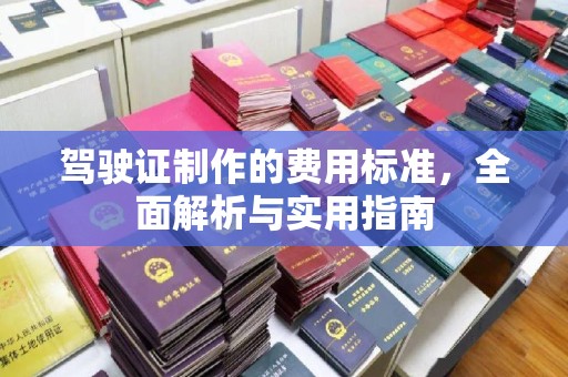 杨梅驾驶证制作的费用标准，全面解析与实用指南