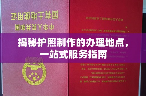 杨梅揭秘护照制作的办理地点，一站式服务指南