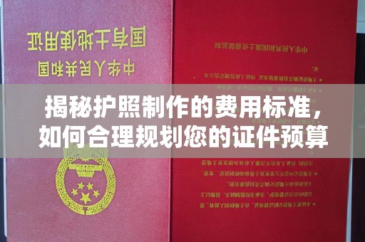 杨梅揭秘护照制作的费用标准，如何合理规划您的证件预算？