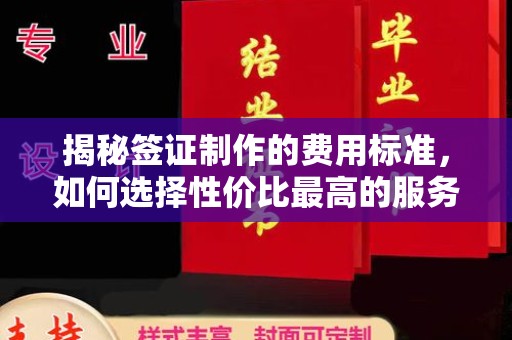 杨梅揭秘签证制作的费用标准，如何选择性价比最高的服务？