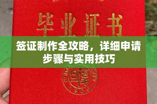 杨梅签证制作全攻略，详细申请步骤与实用技巧